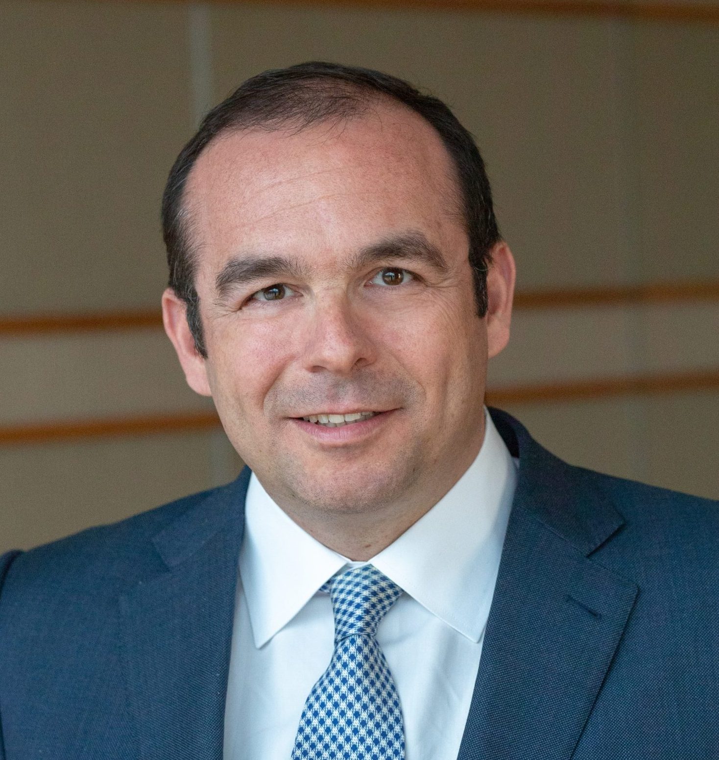 Σταύρος Μήτσης